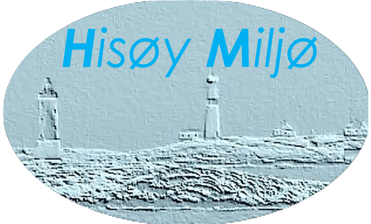 Hisøy Miljø AS logo